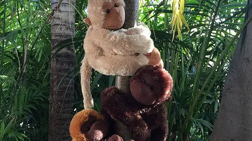 Adventureland’s Adopt A Stuffed Animal